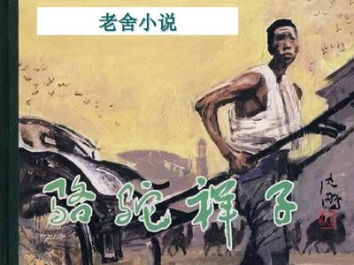 伊甸园综艺在线观看